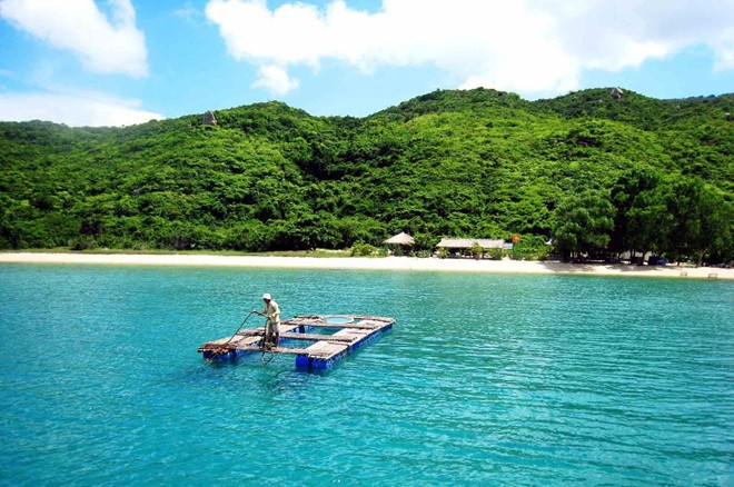 ve may bay sai gon nha trang