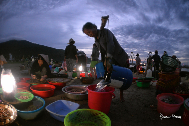 ve may bay sai gon da nang