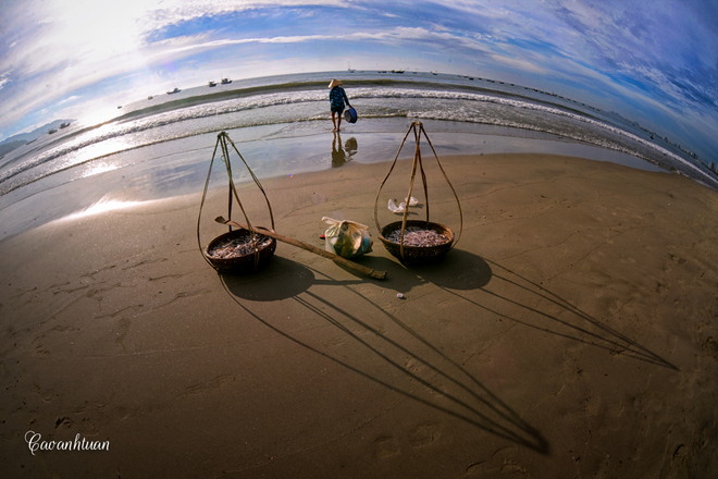 ve may bay sai gon da nang