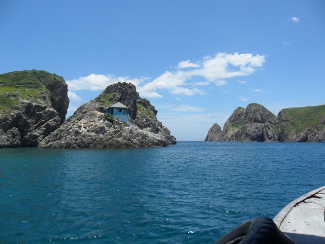 ve may bay sai gon nha trang