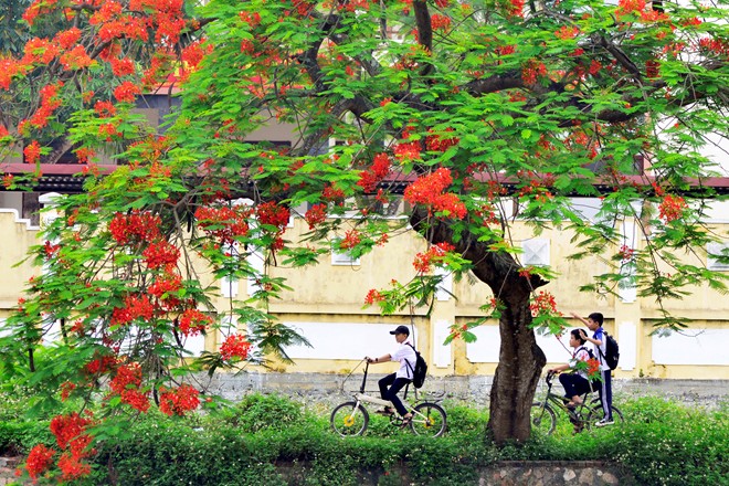 ve may bay sai gon ha noi