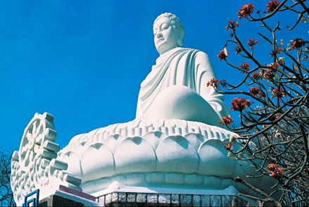 vé máy bay hà nội vũng tàu